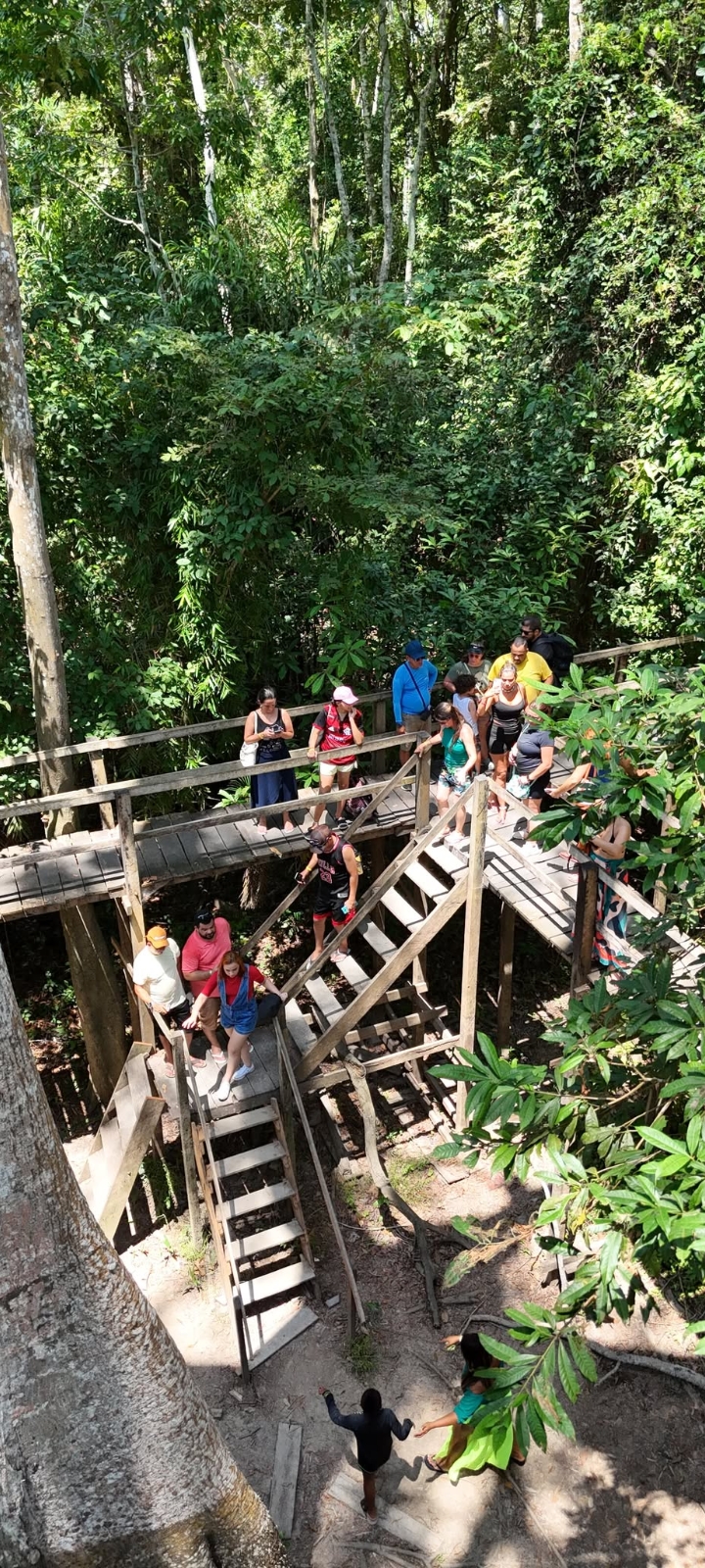 Mirante da sumaúma centenária